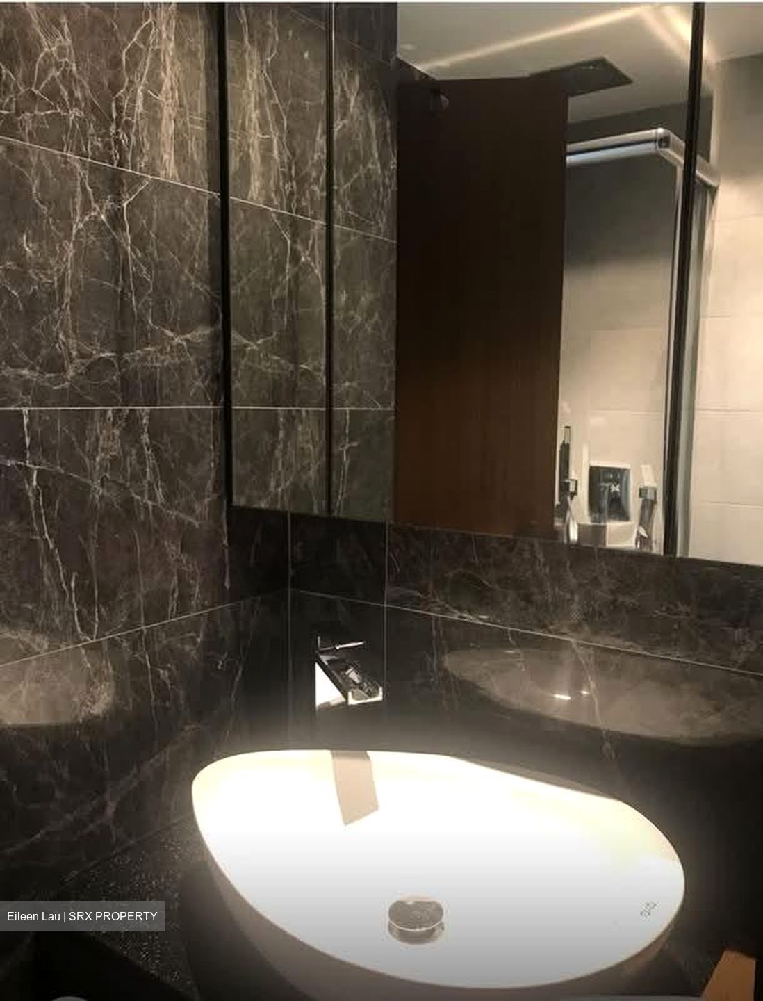 Spottiswoode Suites (D2), Apartment #543759321